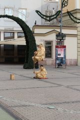 IMG 6694