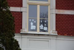 IMG 2975