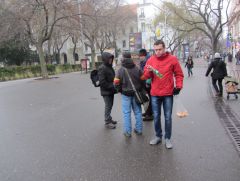45 IMG 4946