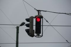 IMG 3877