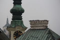 IMG 3548
