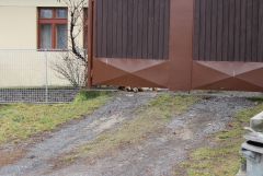 IMG 7043