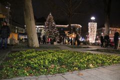 IMG 3844