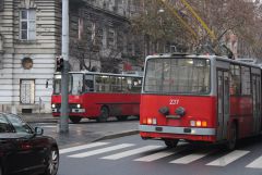 IMG 7153