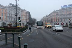 IMG_7110.JPG