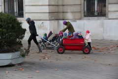 IMG 3998
