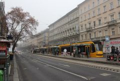 IMG_7116.JPG