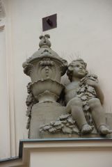 IMG 3555