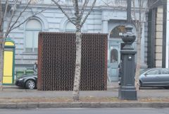 IMG_7105.JPG
