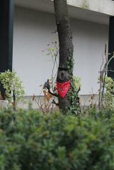 IMG 7093