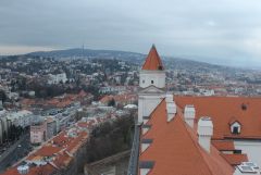 23 IMG 6850