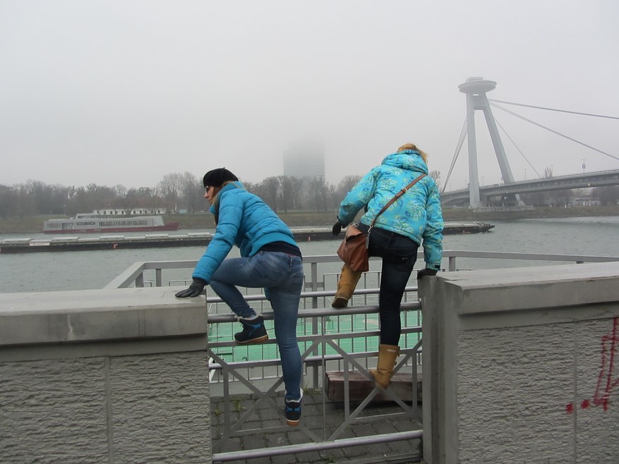 47 IMG 4841