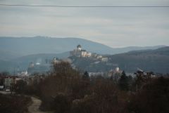 IMG 4210