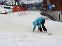 IMG 4666