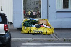 IMG 5326