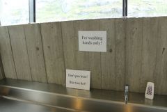 IMG 5655