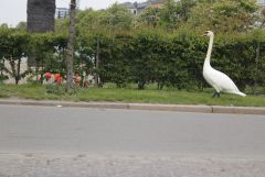 IMG_8518.JPG