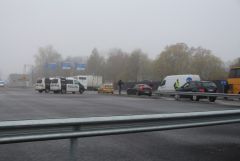 IMG 7293
