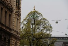 IMG 7331