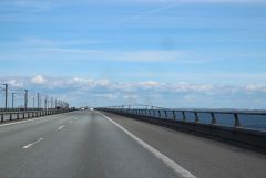 IMG_8247.JPG