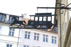 DSC 4461