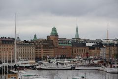 IMG 7074