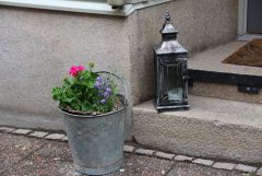 IMG 6396