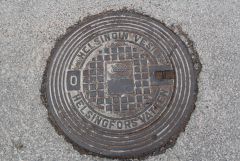 IMG 7338