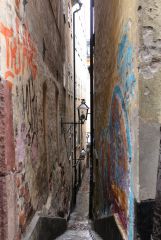 IMG_9172.JPG