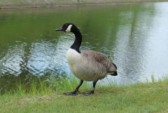 IMG_8459.JPG