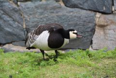 IMG 7395