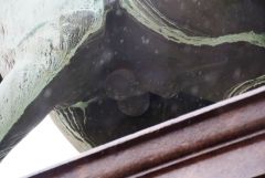 IMG 6553