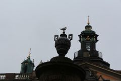 IMG 6848