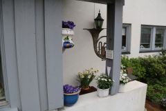 IMG 6675