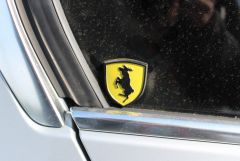 IMG_7818.JPG