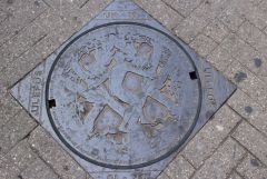 IMG_8196.JPG