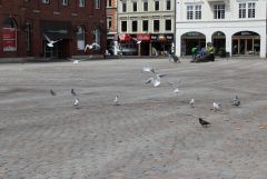 IMG_8179.JPG