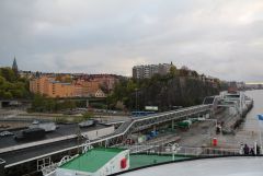 IMG 7223