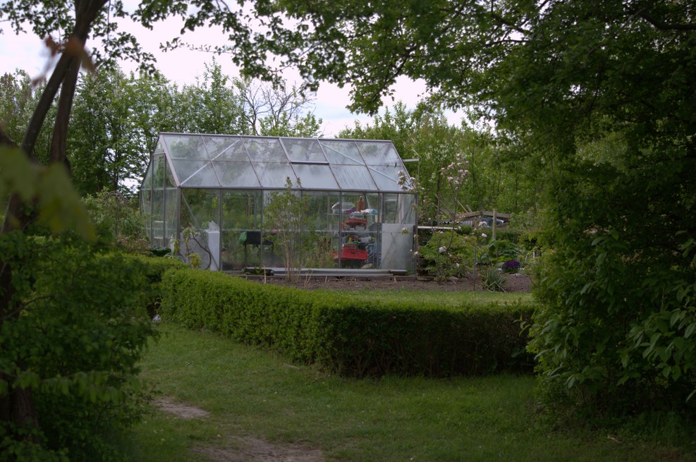 DSC 4379
