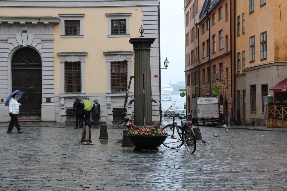IMG 6942