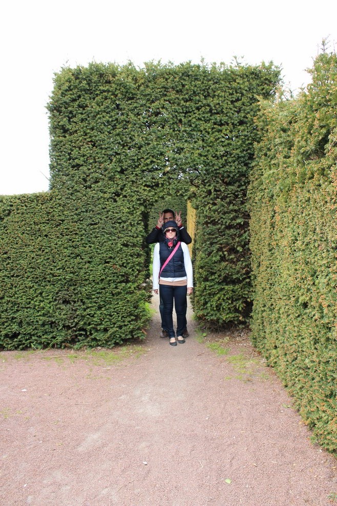 IMG 8717