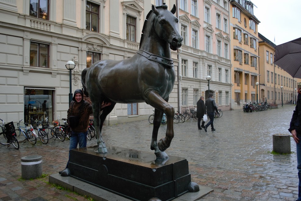 DSC 4983