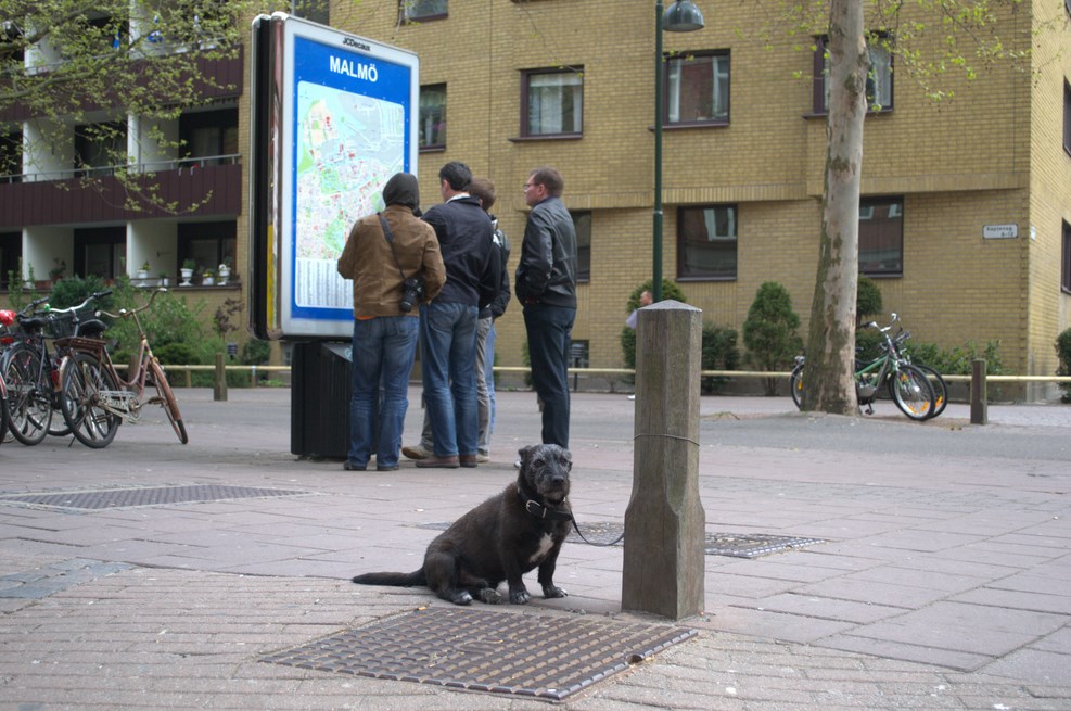 DSC 4568