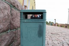 IMG 7525