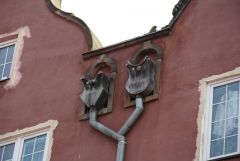 IMG_5151.JPG