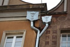 IMG_5144.JPG