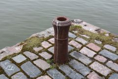 IMG 7376