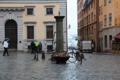 IMG 6942