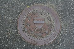 IMG 6572