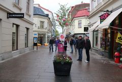 IMG 6379